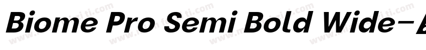 Biome Pro Semi Bold Wide字体转换